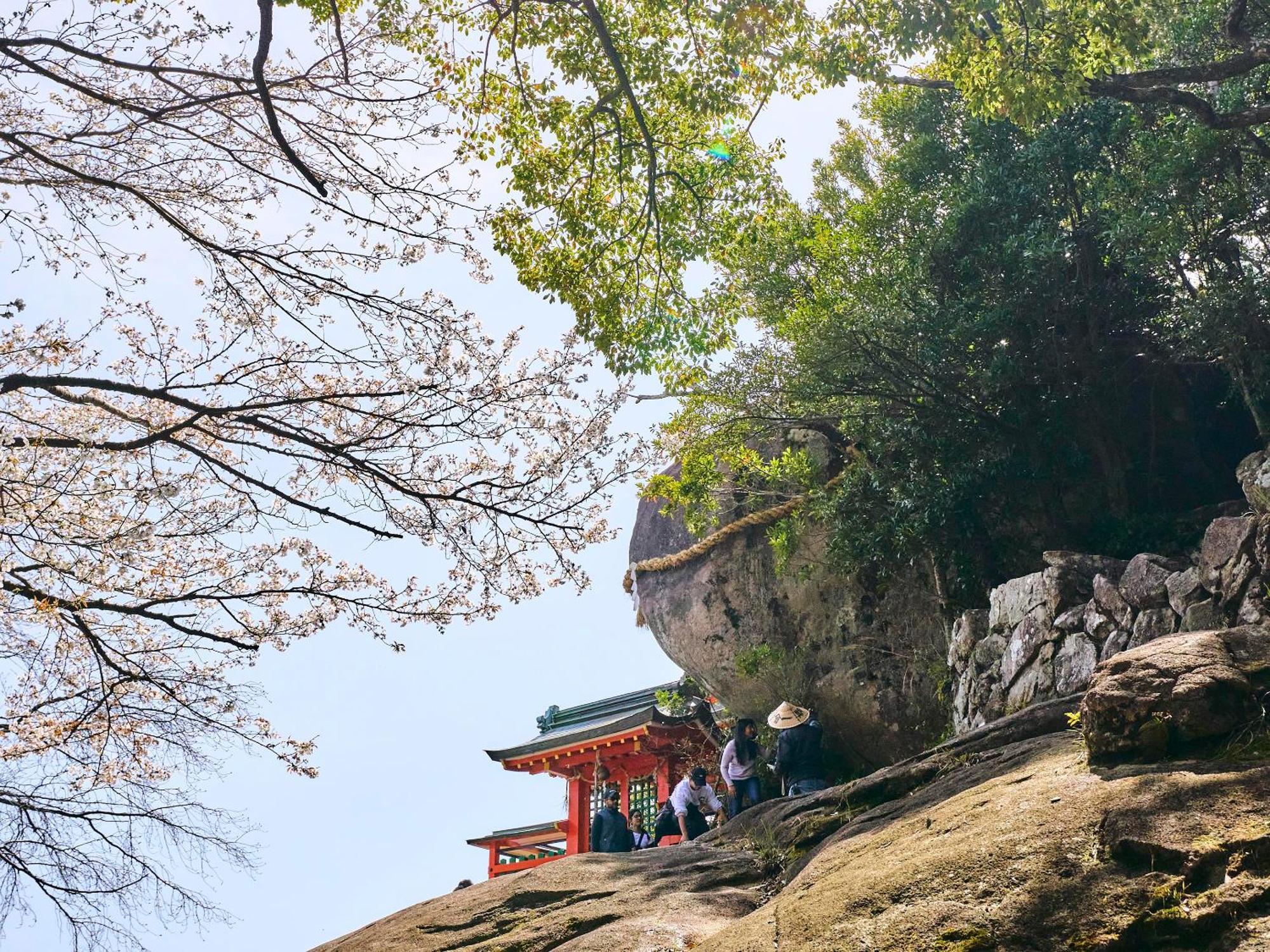 Kokoyui Guesthouse Shingu Exterior foto